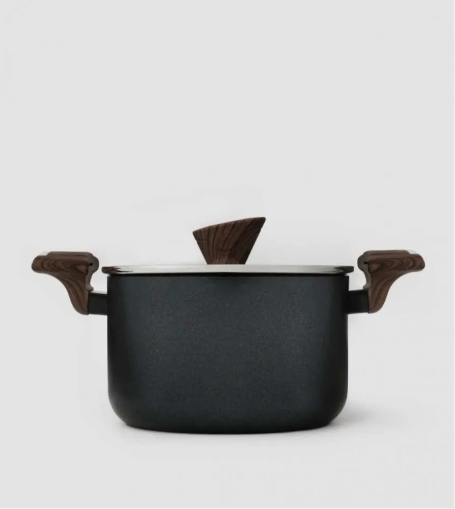 Gigilli 22 cm titanium kaplama Makarna tenceresi