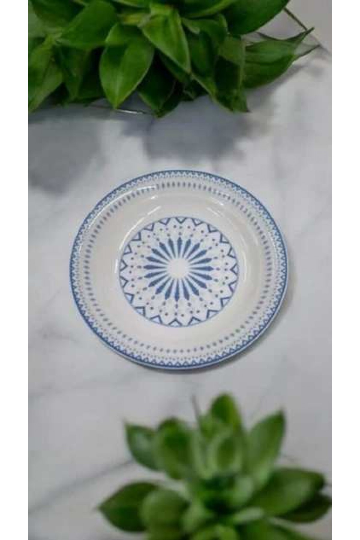 GÜRAL PORSELEN 6 ADET SUJE SERİSİ 17 CM ÇUKUR YEMEK TABAĞI E48