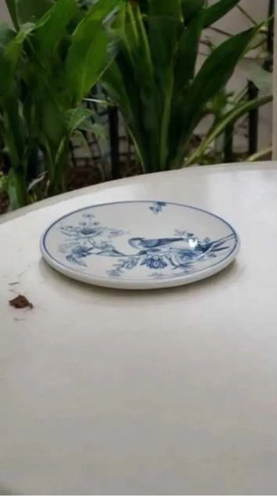GÜRAL PORSELEN 6 ADET SUJE SERİSİ 25 CM SERVİS  TABAĞI 1891 KUŞLU